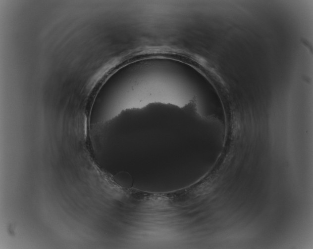 X0000101981221200807181117