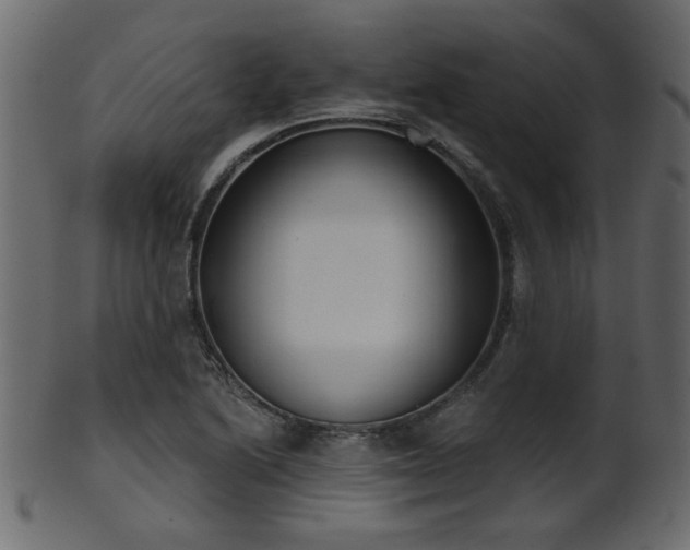 X0000101981222200807181117