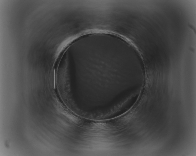 X0000101981223200807181117