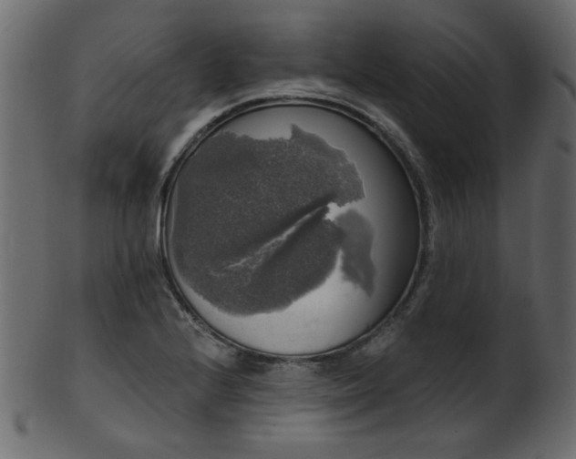 X0000101981224200807181117