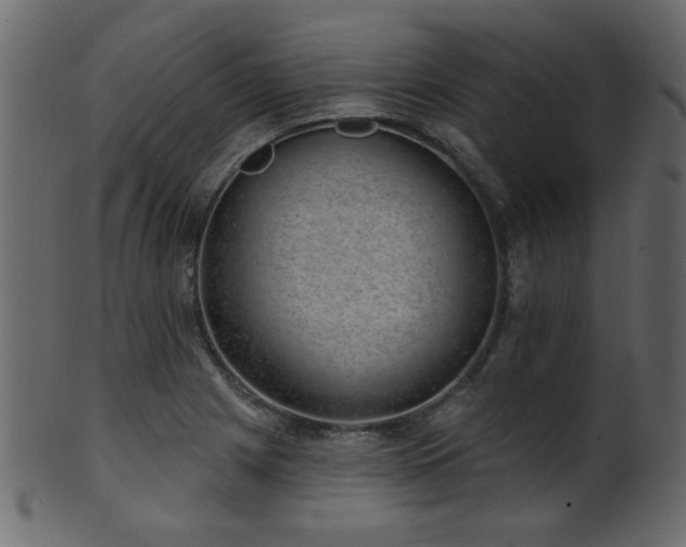 X0000101981225200807181117