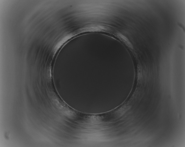 X0000101981226200807181117