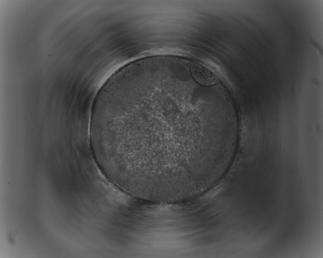 X0000101981228200807181117