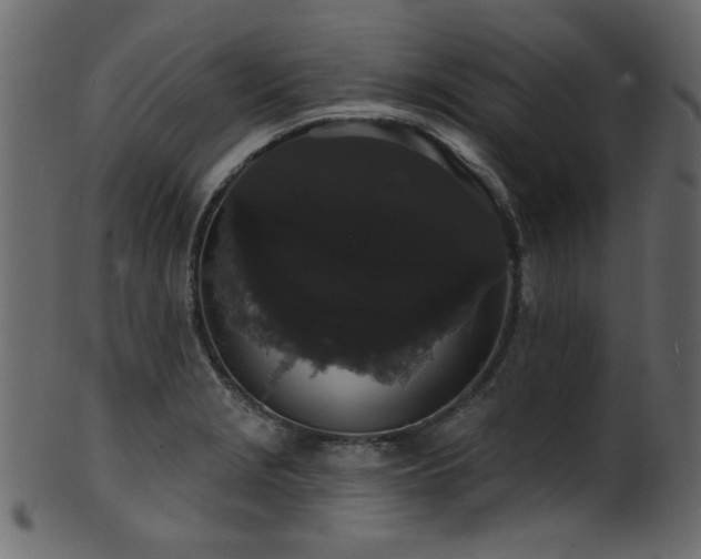 X0000101981229200807181117