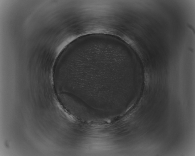 X0000101981230200807181117