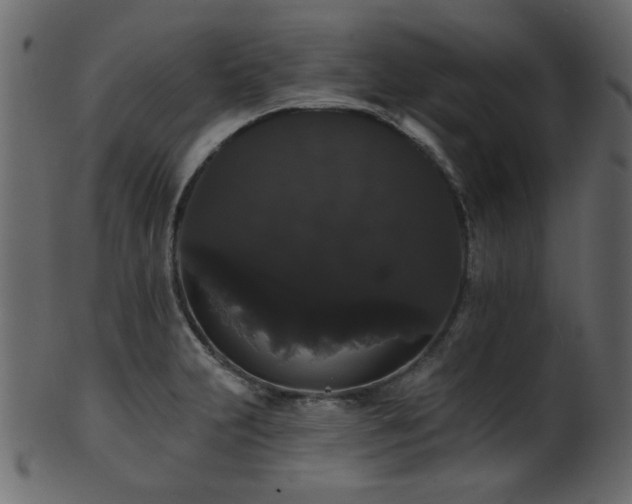 X0000101981231200807181117