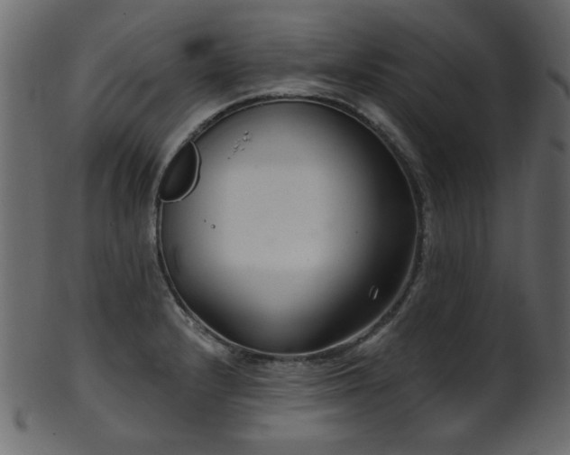 X0000101981232200807181117