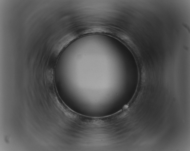 X0000101981233200807181117