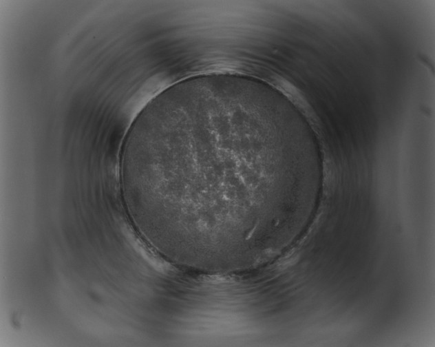 X0000101981234200807181117