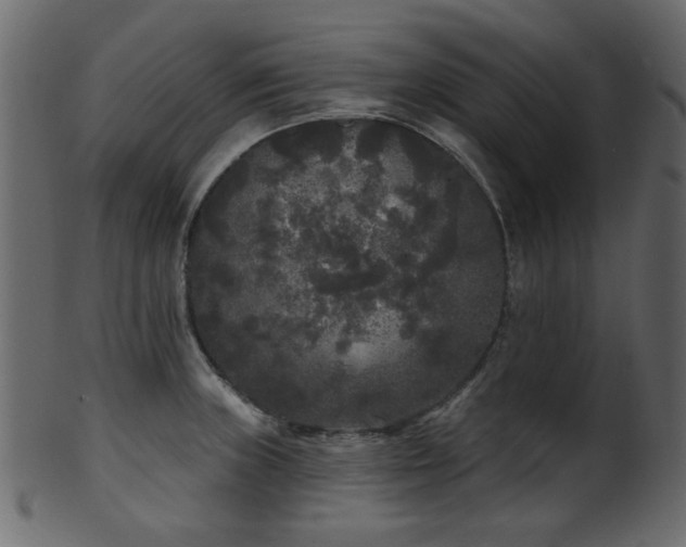 X0000101981235200807181117