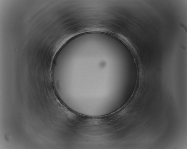 X0000101981236200807181117