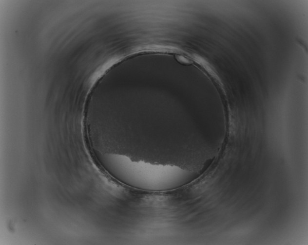 X0000101981237200807181117