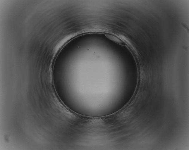 X0000101981238200807181117