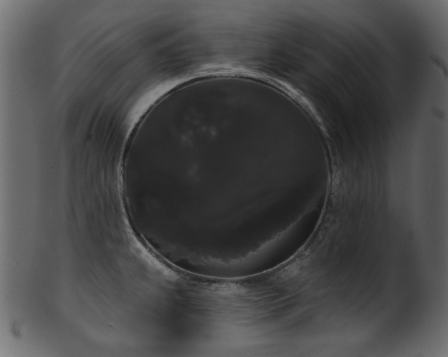 X0000101981239200807181117