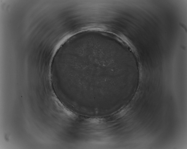 X0000101981240200807181117