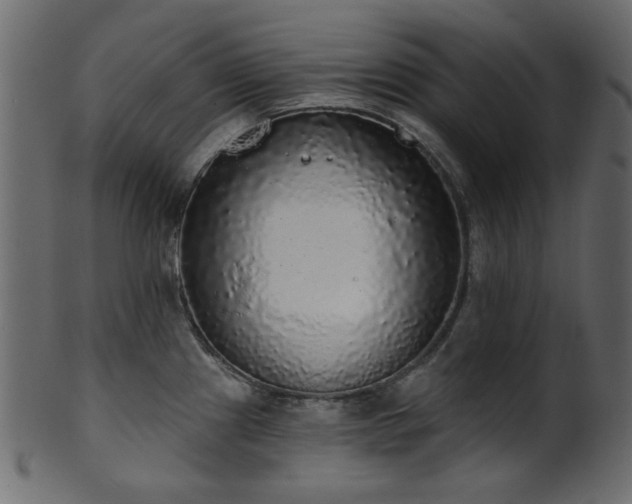 X0000101981241200807181117