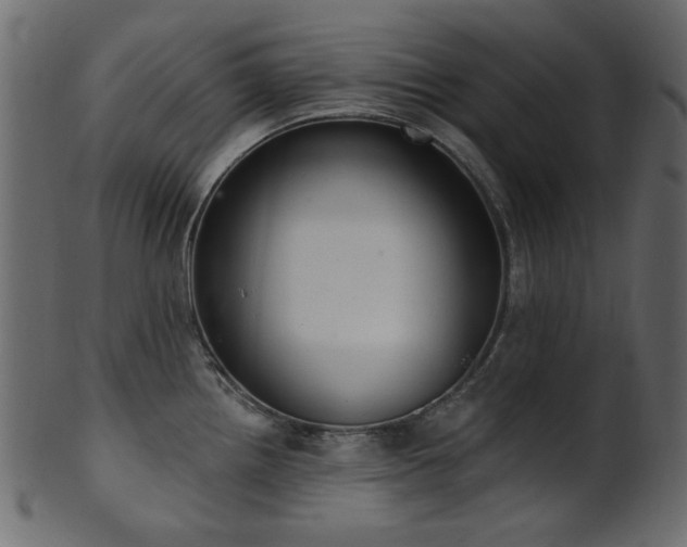 X0000101981242200807181117