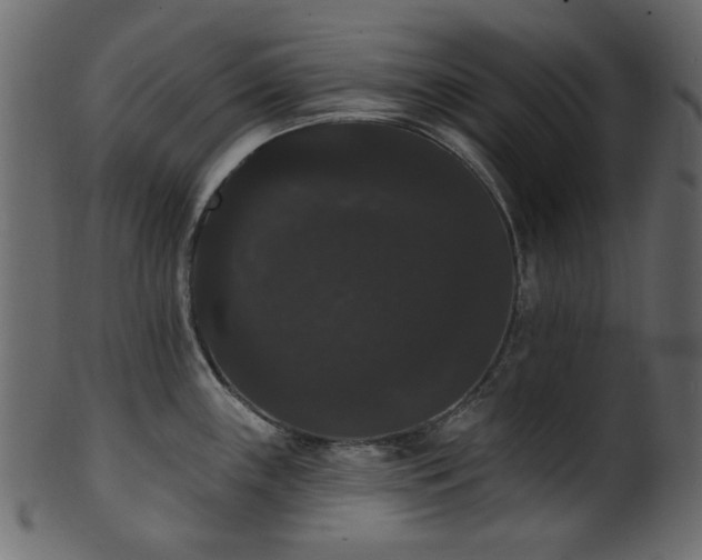 X0000101981243200807181117