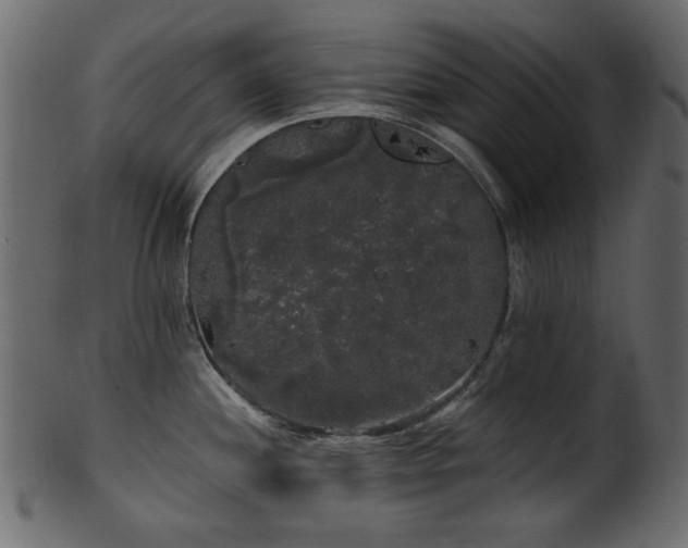 X0000101981244200807181117