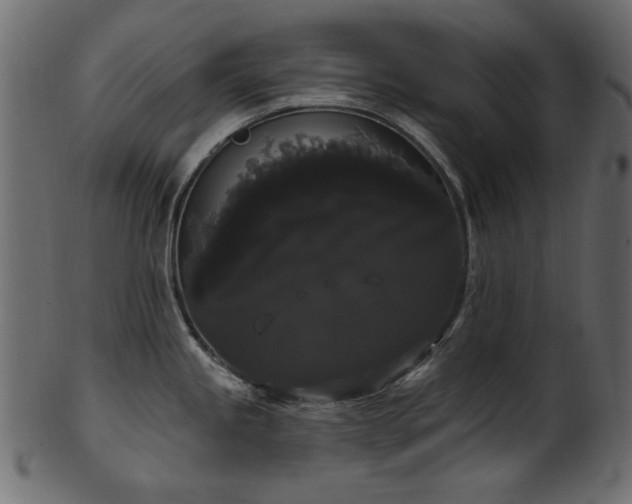 X0000101981245200807181117