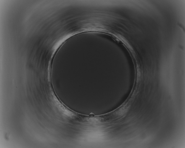 X0000101981246200807181117