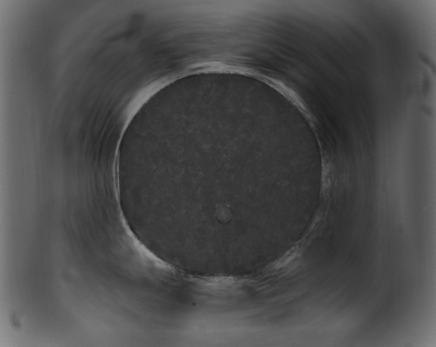 X0000101981247200807181117