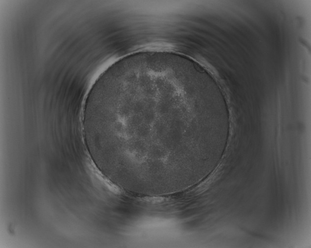 X0000101981248200807181117