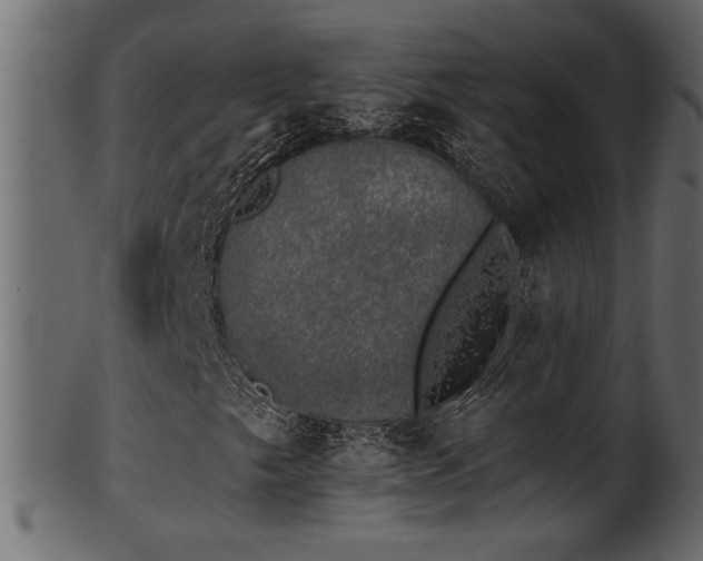 X0000101981249200807181117