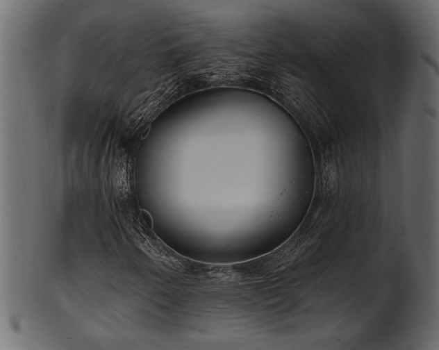 X0000101981250200807181117