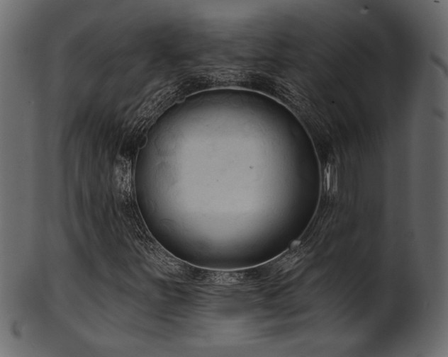 X0000101981251200807181117