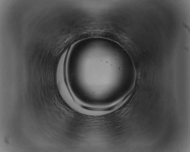 X0000101981252200807181117