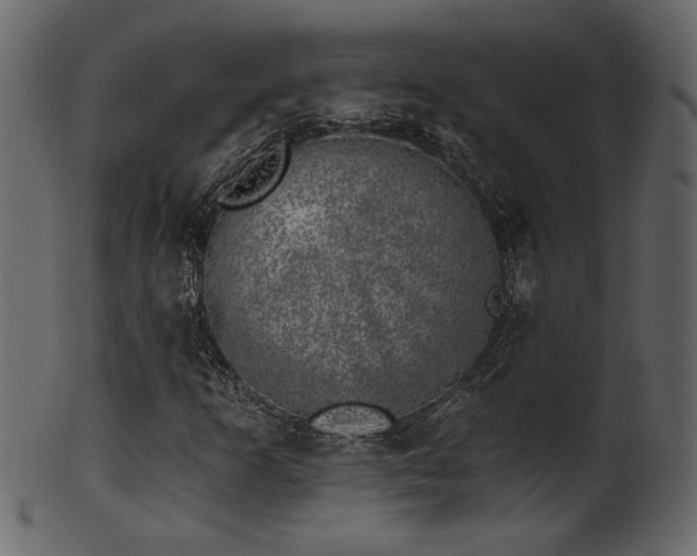 X0000101981253200807181117