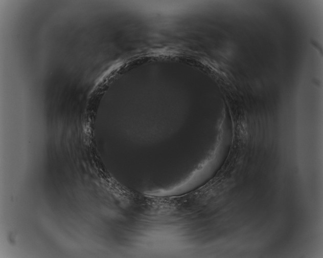 X0000101981254200807181116