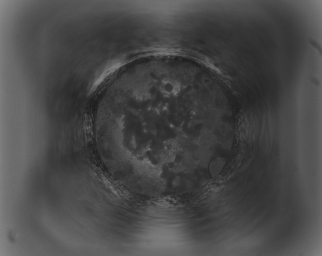 X0000101981255200807181116