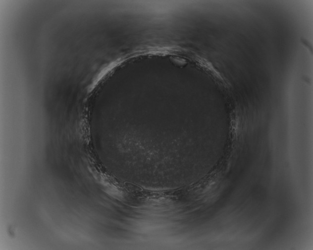 X0000101981256200807181116