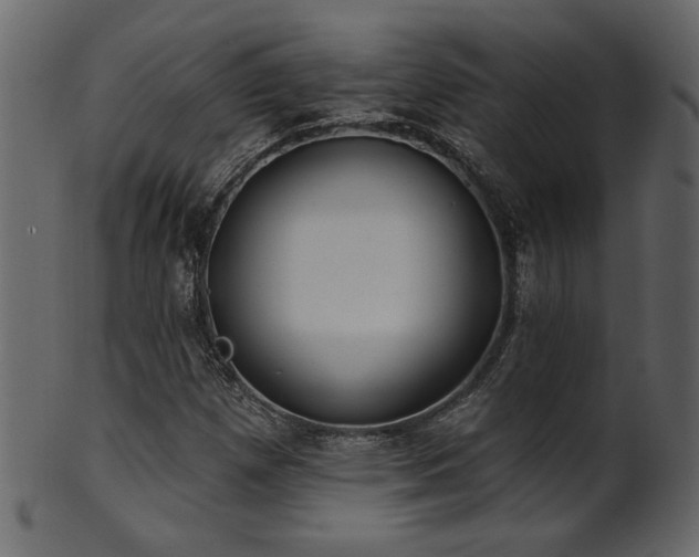 X0000101981257200807181116