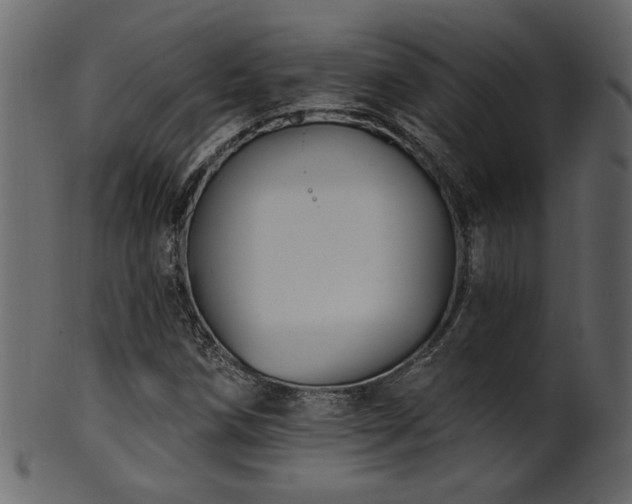 X0000101981258200807181116