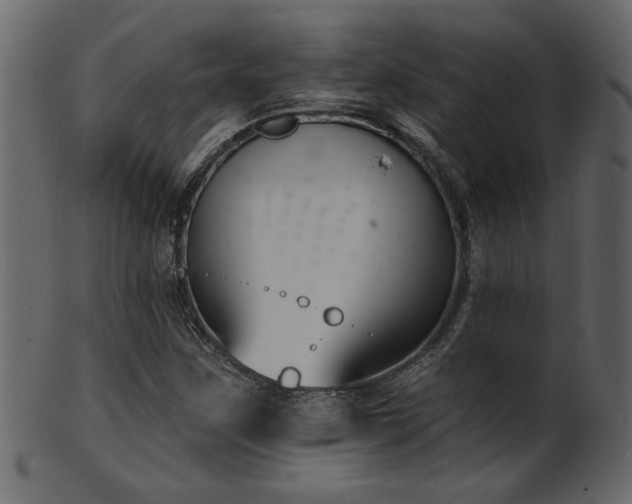 X0000101981259200807181116