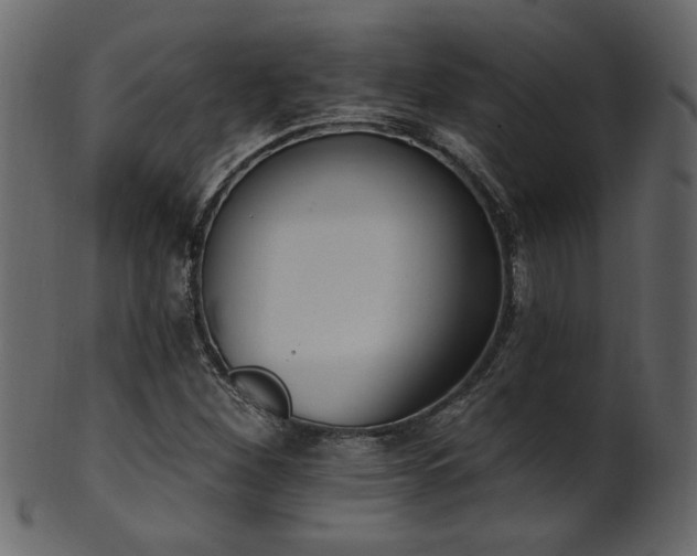 X0000101981260200807181116