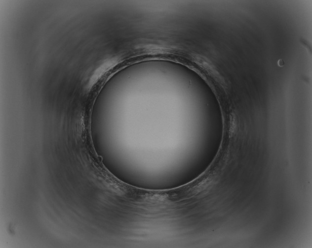 X0000101981261200807181116