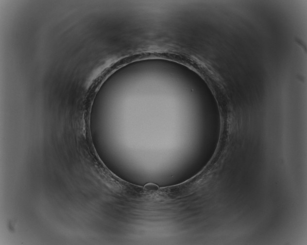 X0000101981262200807181116