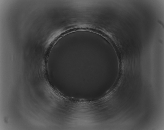 X0000101981263200807181116