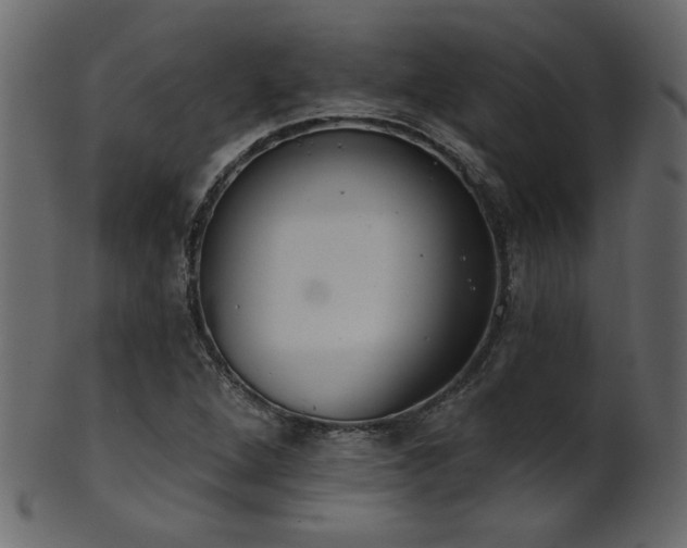 X0000101981264200807181116