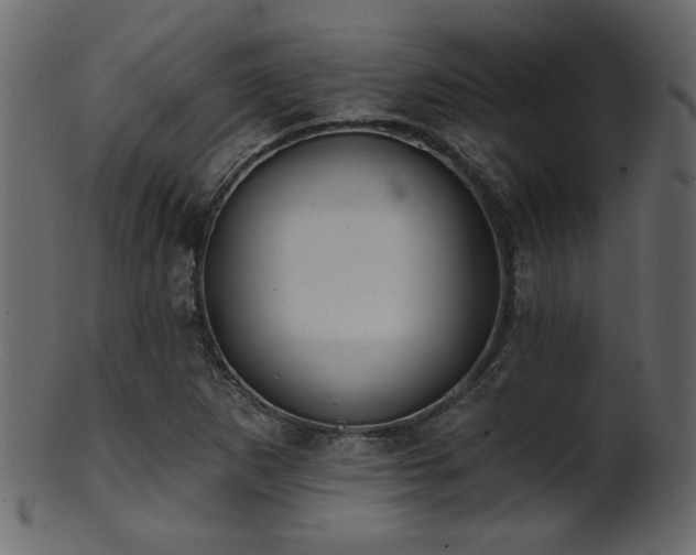 X0000101981265200807181116