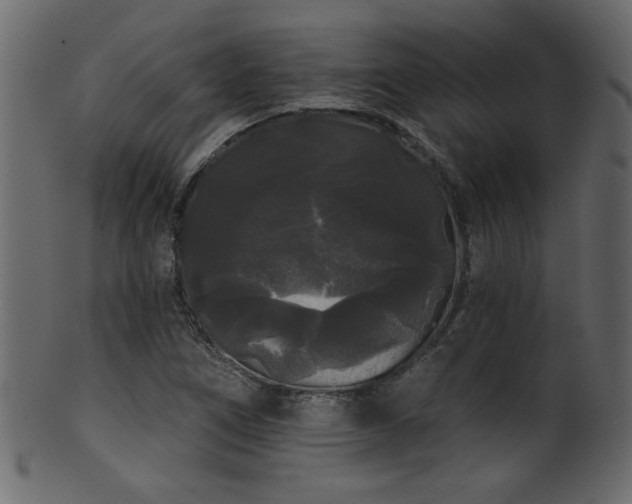 X0000101981266200807181116