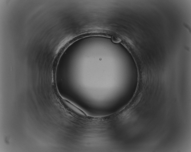 X0000101981267200807181116