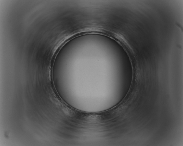 X0000101981268200807181116