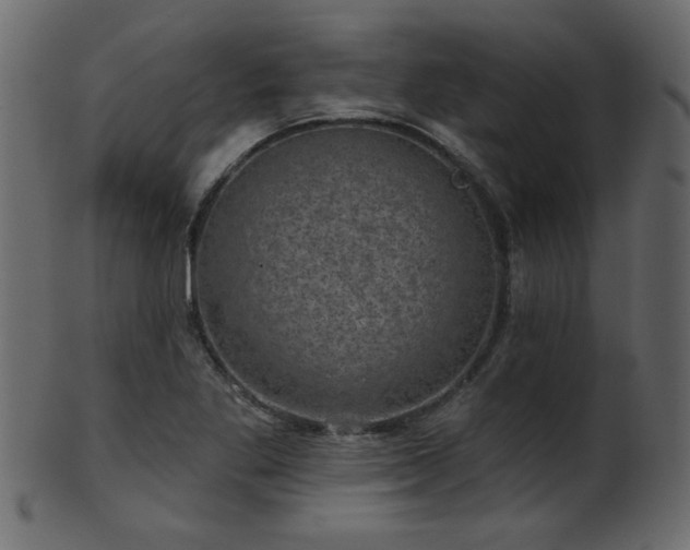 X0000101981269200807181116