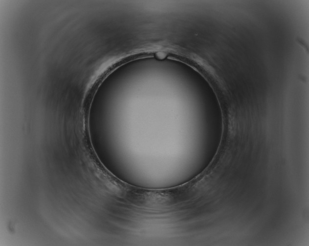 X0000101981270200807181116