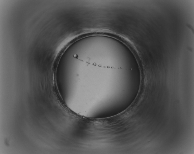 X0000101981271200807181116